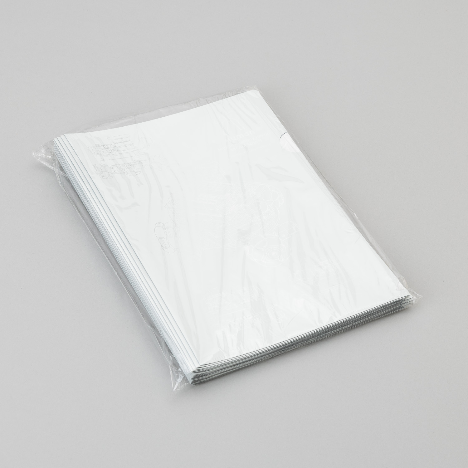 RPクリアファイル（30枚）