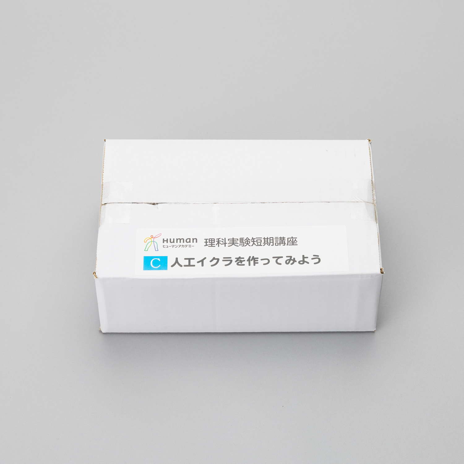 ■《STEM-F》人工ｲｸﾗを作ってみよう