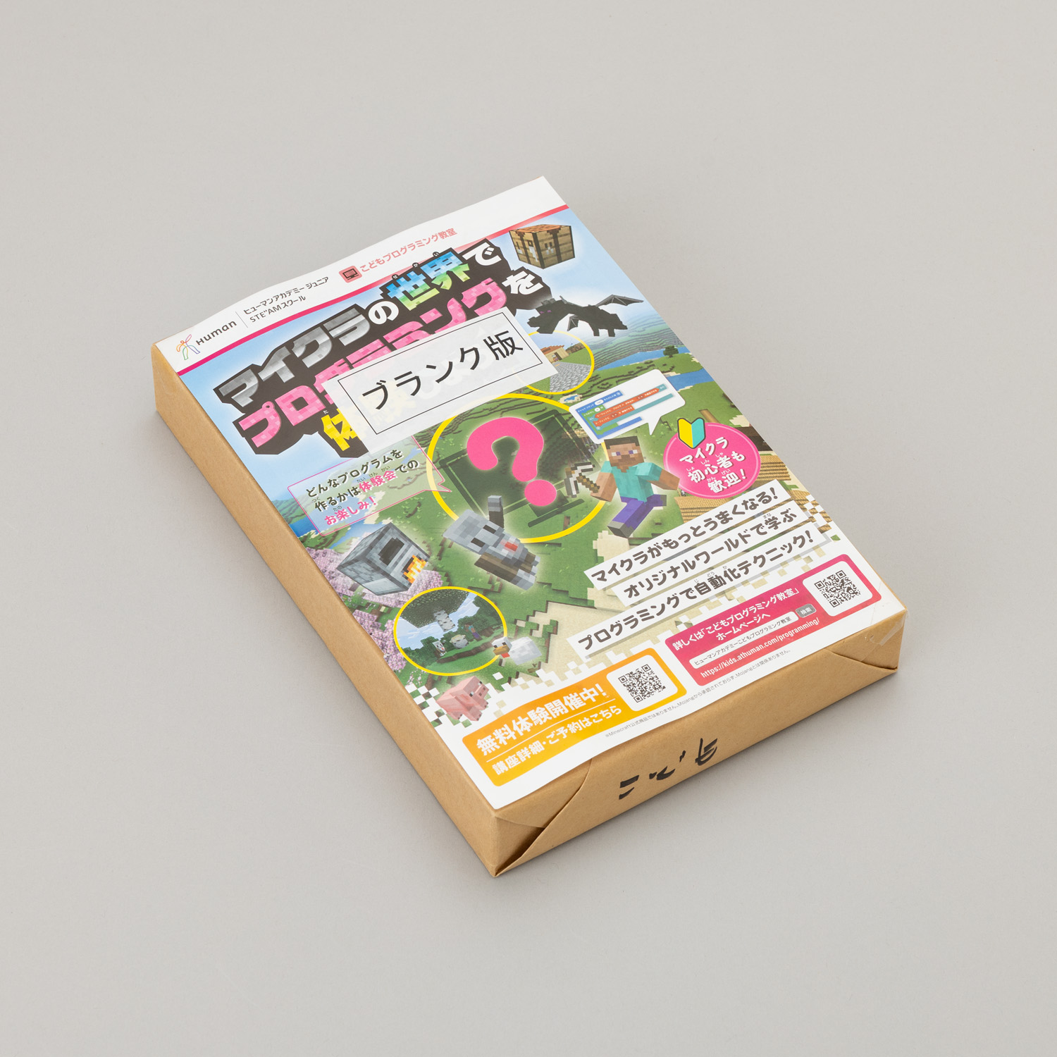 91298 CPチラシB5（500枚）マイクラ