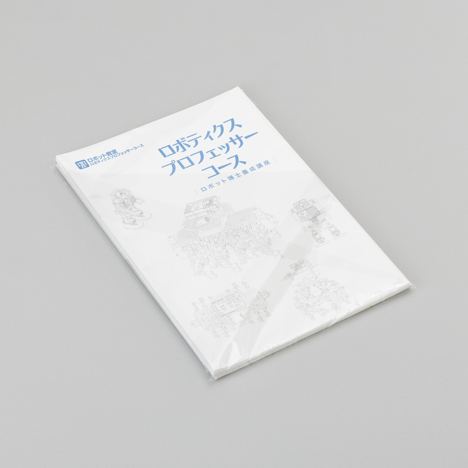 90013ロボプロパンフレット（30部）