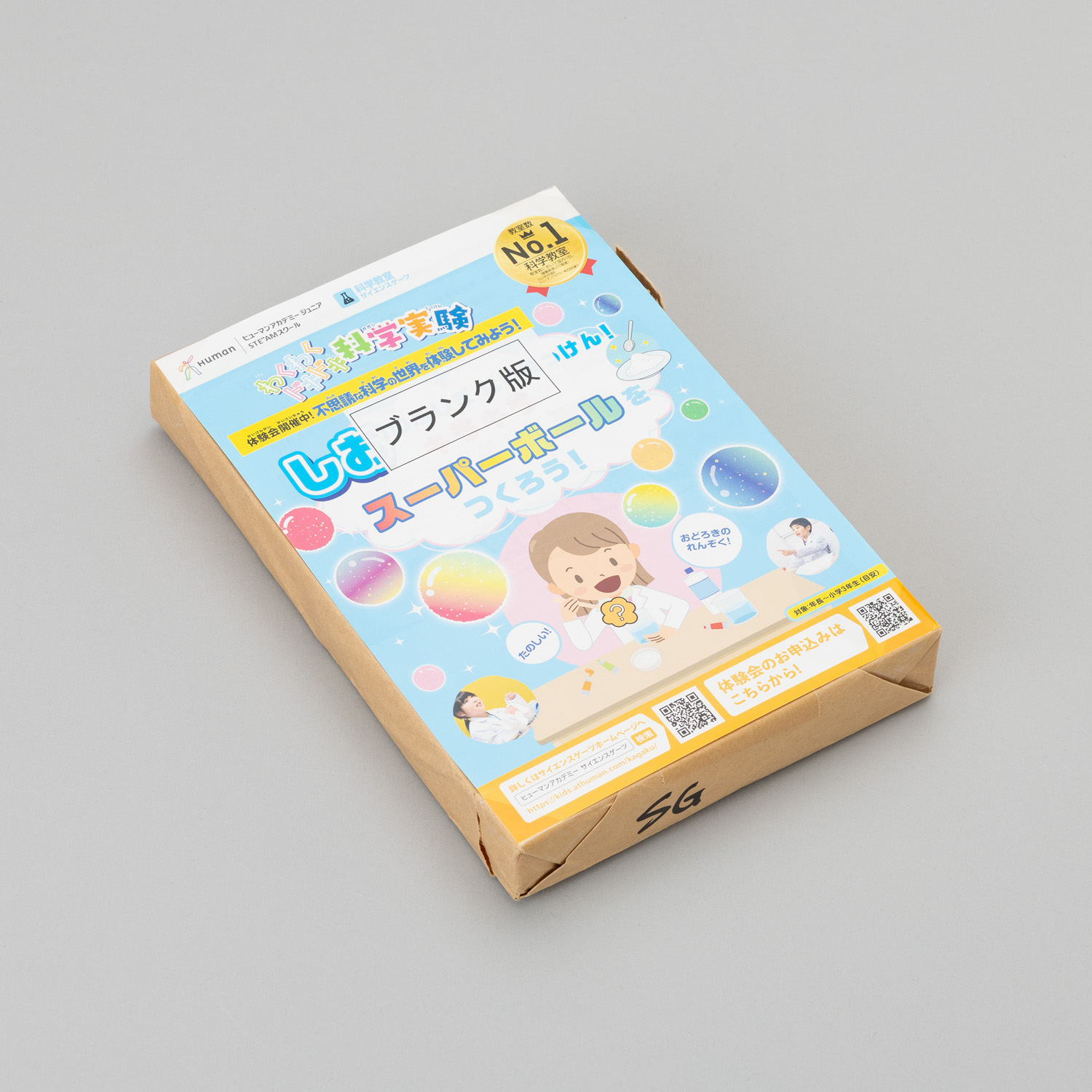 91206 SGチラシB5（500枚）スーパーボール