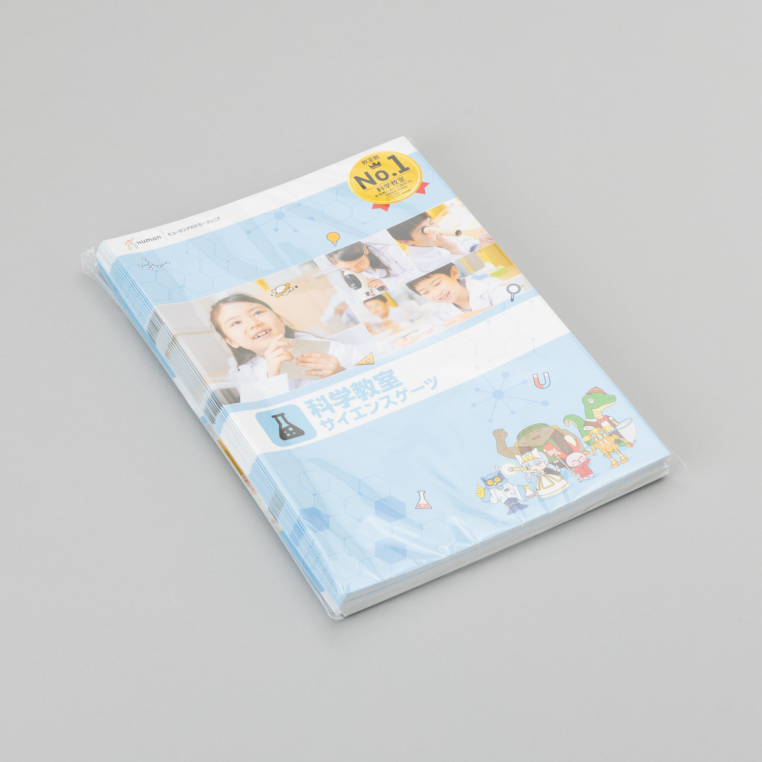 91356 SGパンフレット (30部)